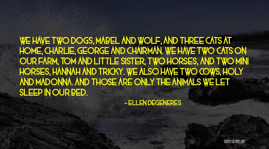 Cats And Dogs Quotes By Ellen DeGeneres