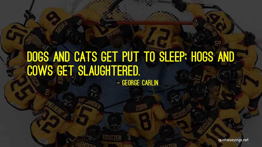 Cats And Dogs Quotes By George Carlin Cats And Dogs Quotes By George Carlin