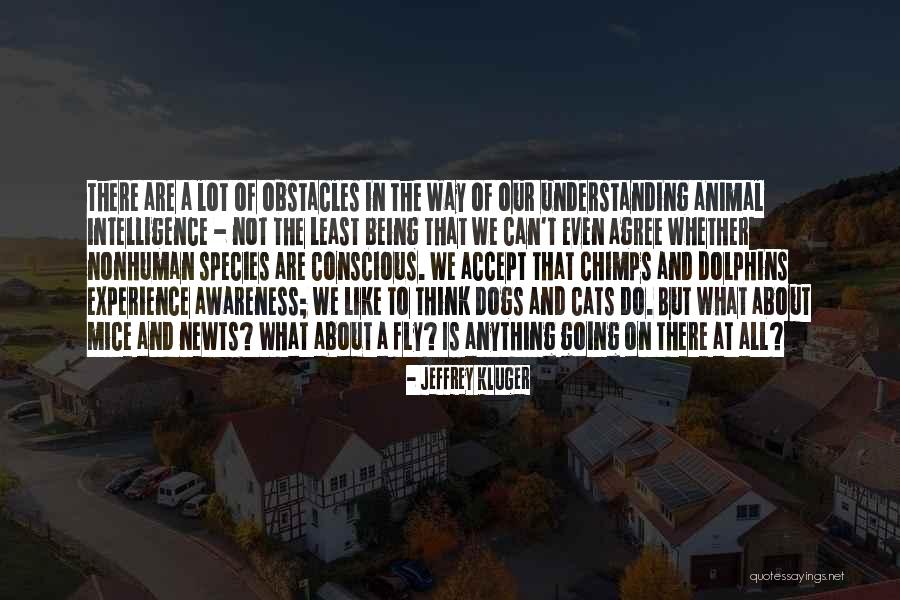 Cats And Dogs Quotes By Jeffrey Kluger Cats And Dogs Quotes By Jeffrey Kluger