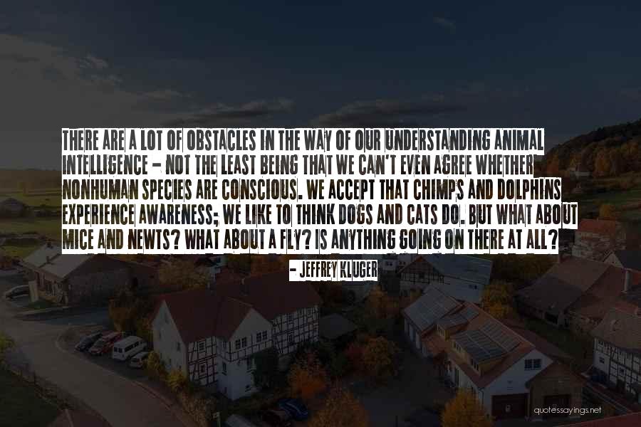 Cats And Dogs Quotes By Jeffrey Kluger