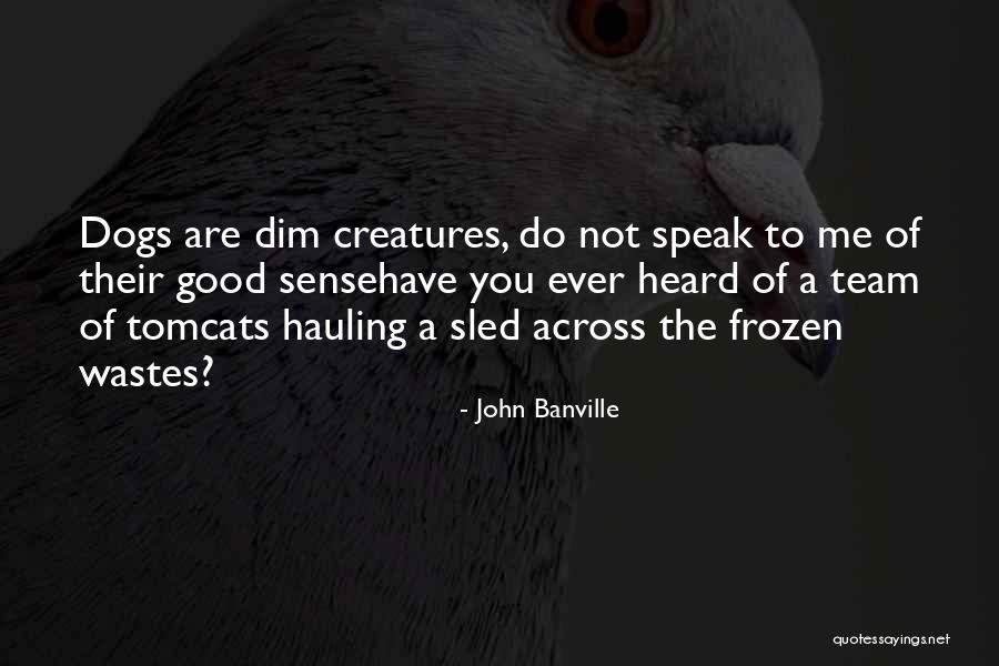 Cats And Dogs Quotes By John Banville