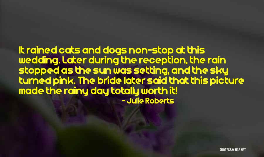 Cats And Dogs Quotes By Julie Roberts