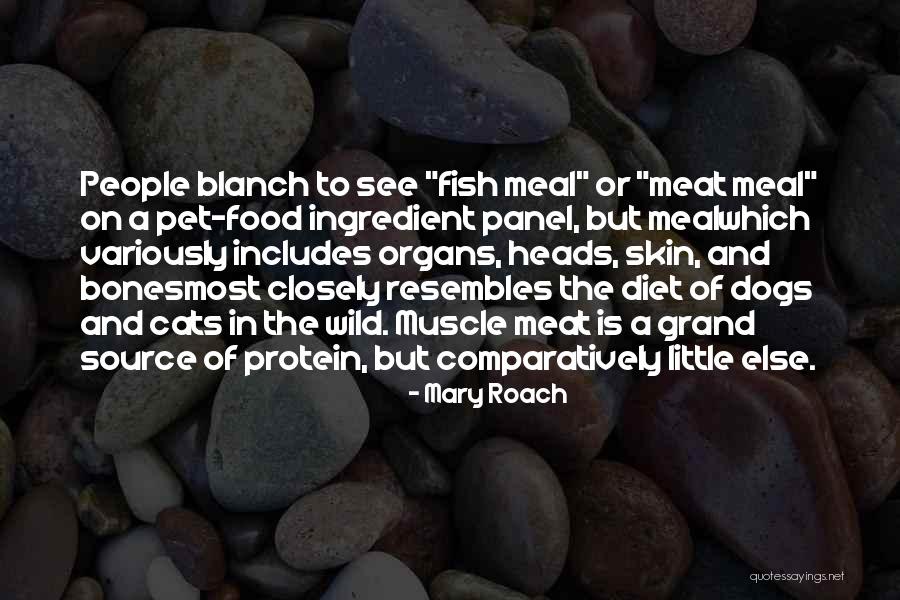 Cats And Dogs Quotes By Mary Roach Cats And Dogs Quotes By Mary Roach