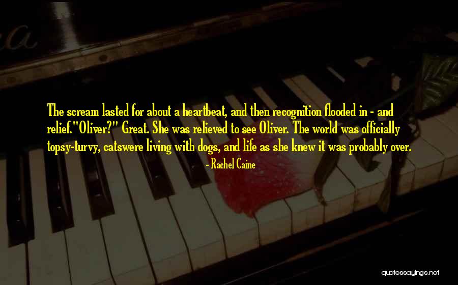 Cats And Dogs Quotes By Rachel Caine Cats And Dogs Quotes By Rachel Caine