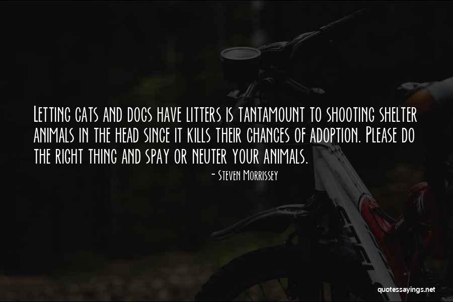 Cats And Dogs Quotes By Steven Morrissey Cats And Dogs Quotes By Steven Morrissey