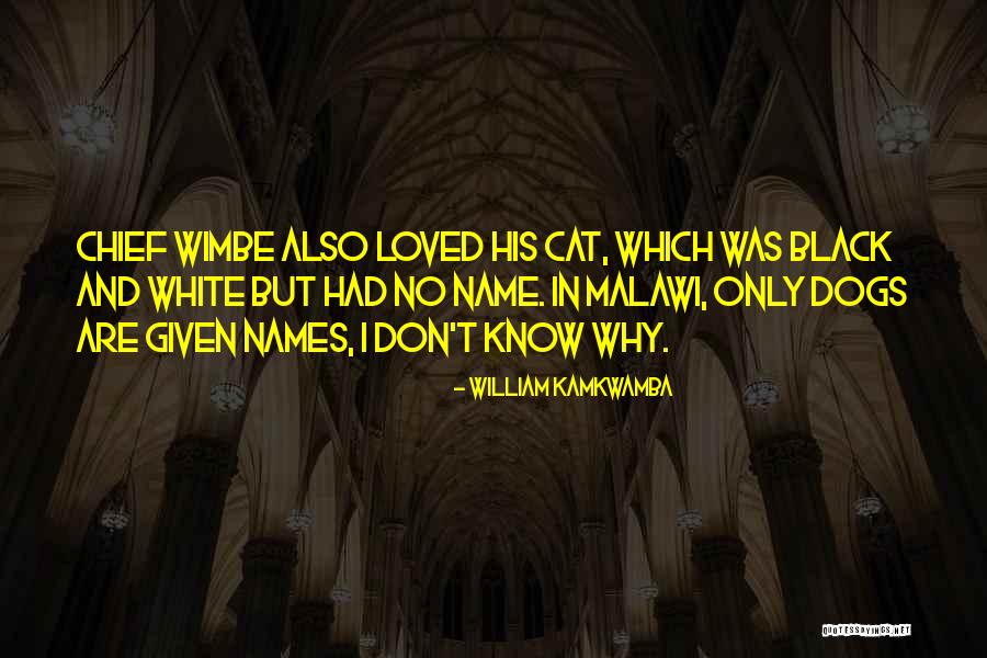 Cats And Dogs Quotes By William Kamkwamba Cats And Dogs Quotes By William Kamkwamba