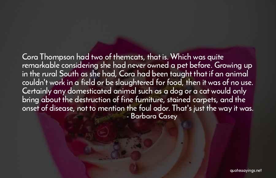 Cats And Food Quotes By Barbara Casey Cats And Food Quotes By Barbara Casey