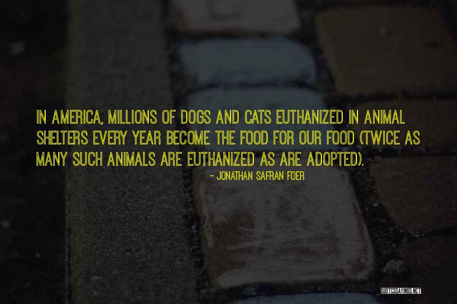 Cats And Food Quotes By Jonathan Safran Foer Cats And Food Quotes By Jonathan Safran Foer