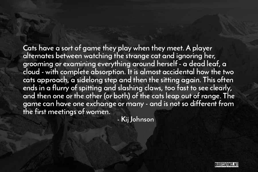 Cats And Grooming Quotes By Kij Johnson Cats And Grooming Quotes By Kij Johnson