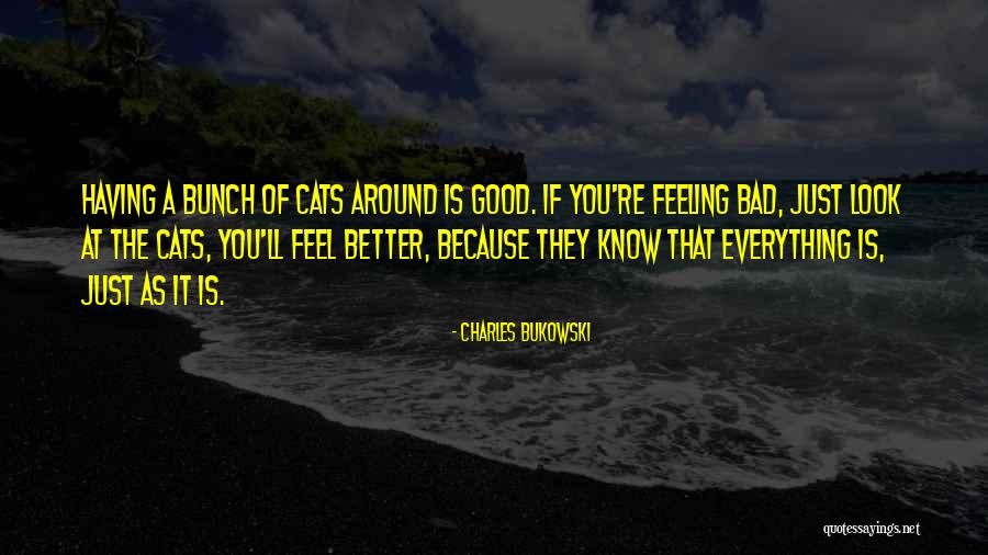 Cats And Happiness Quotes By Charles Bukowski Cats And Happiness Quotes By Charles Bukowski