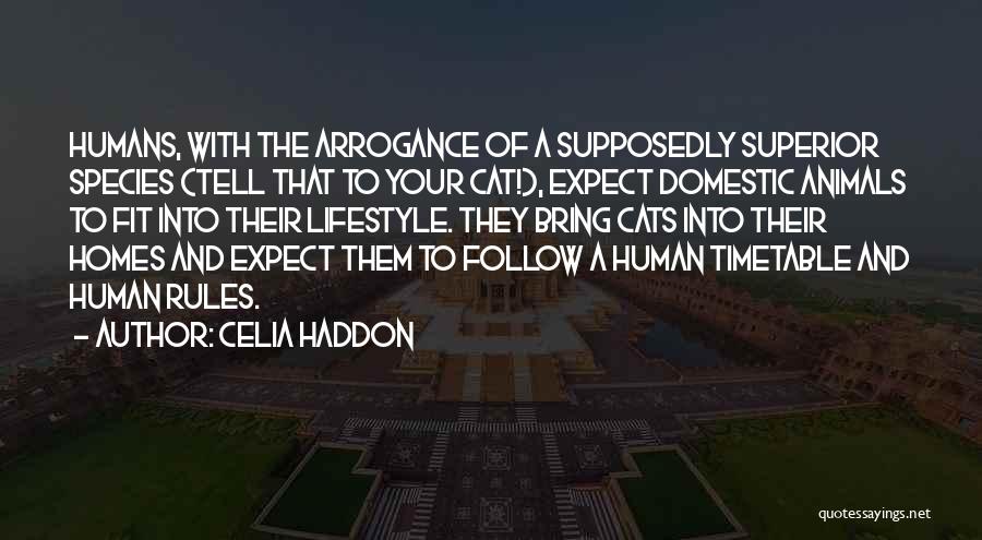 Cats And Humans Quotes By Celia Haddon