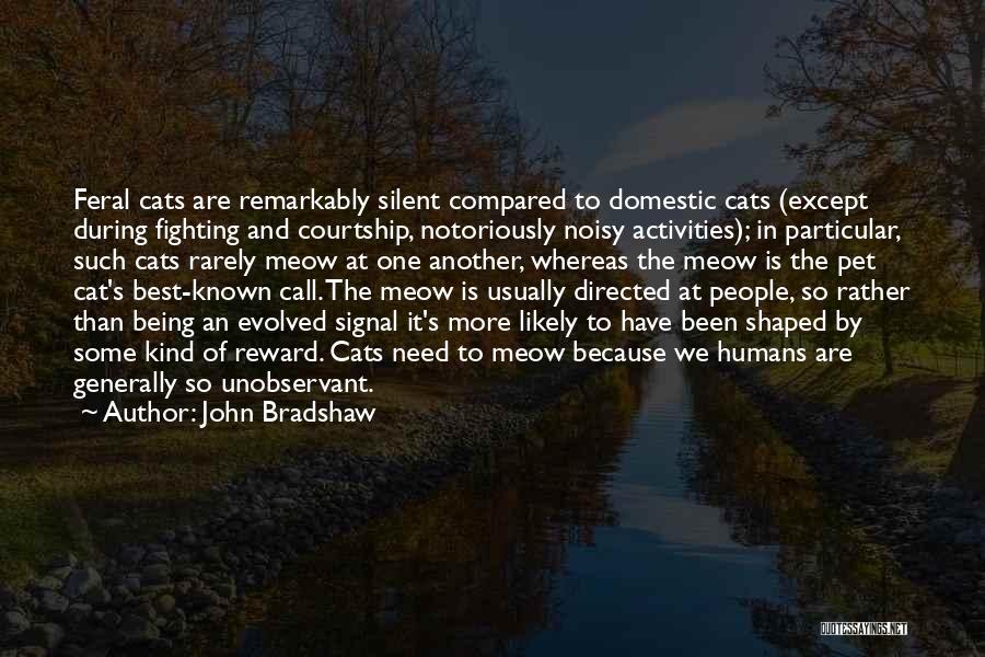 Cats And Humans Quotes By John Bradshaw