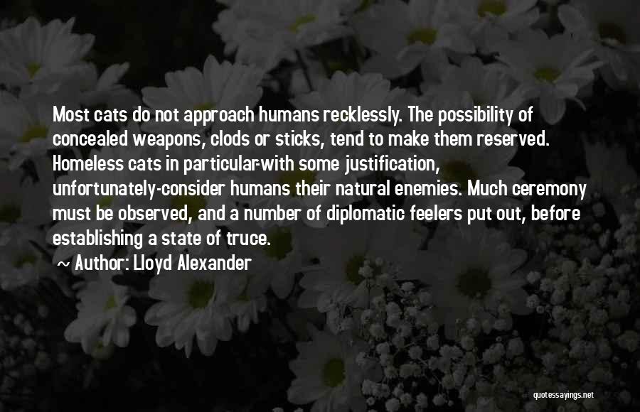 Cats And Humans Quotes By Lloyd Alexander