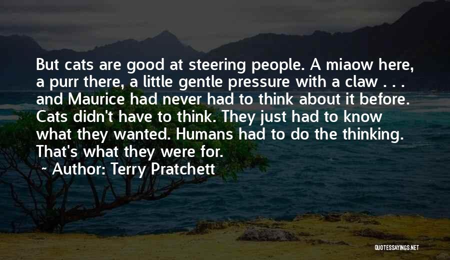 Cats And Humans Quotes By Terry Pratchett