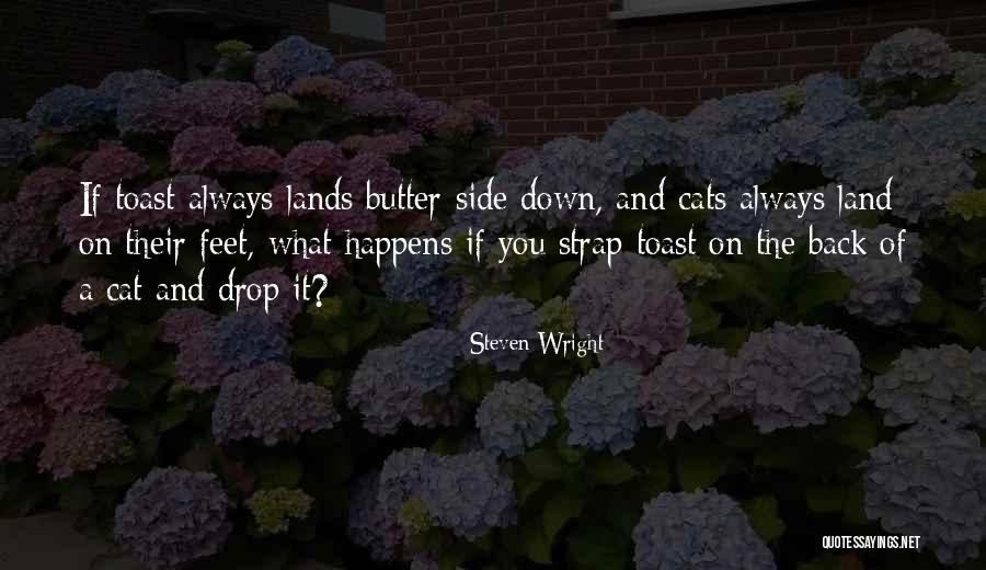 Cats And Humor Quotes By Steven Wright Cats And Humor Quotes By Steven Wright