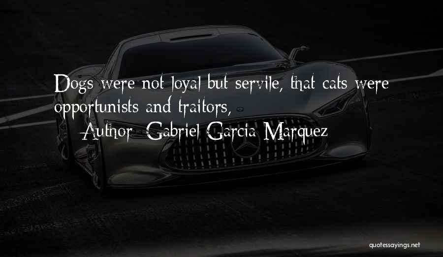 Cats And Life Quotes By Gabriel Garcia Marquez