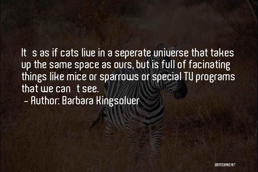 Cats And Mice Quotes By Barbara Kingsolver