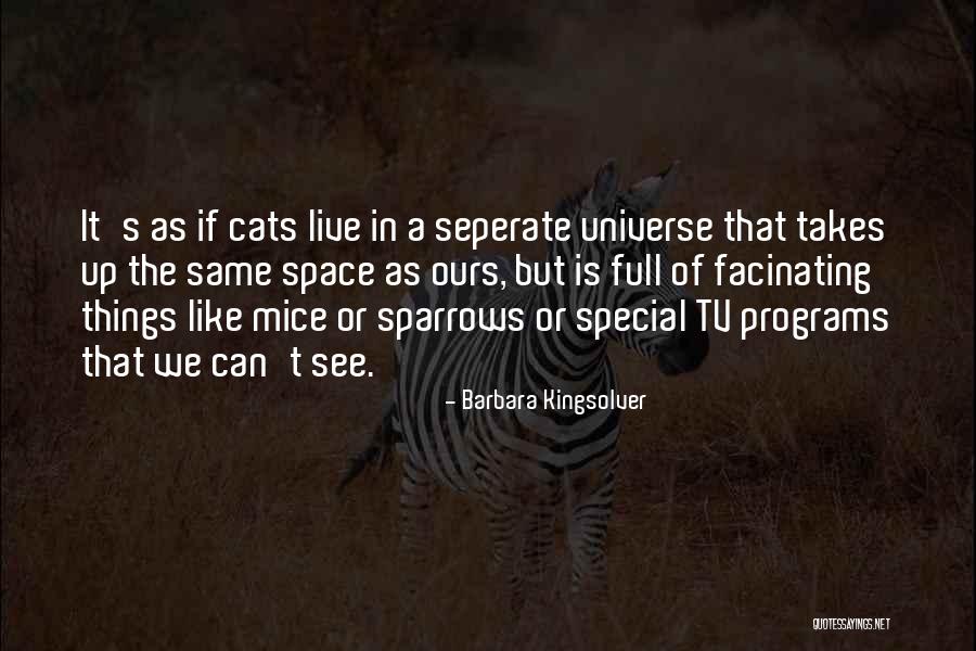 Cats And Mice Quotes By Barbara Kingsolver