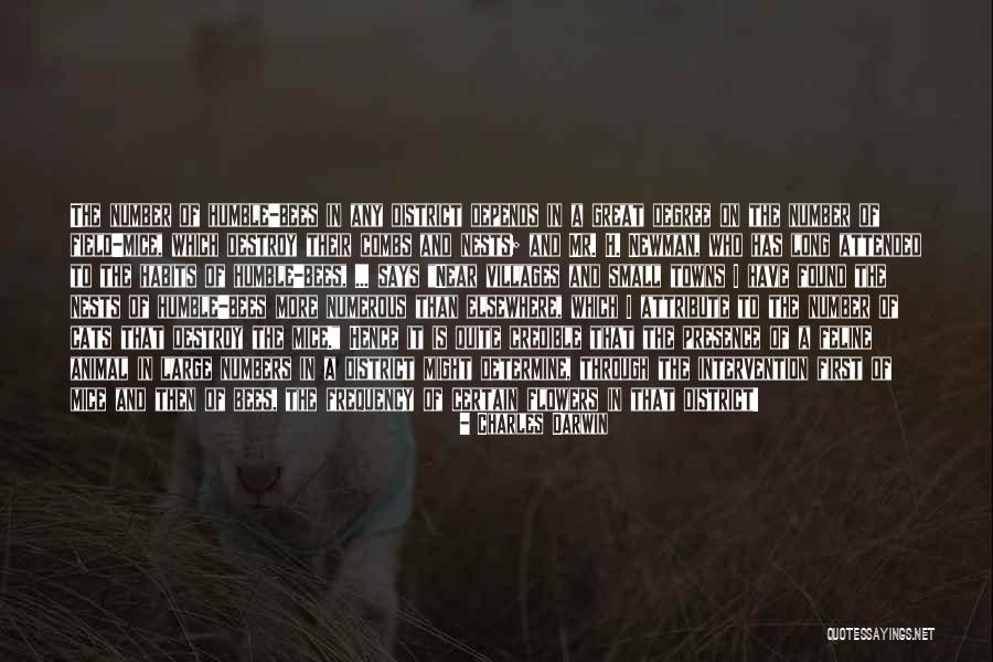 Cats And Mice Quotes By Charles Darwin Cats And Mice Quotes By Charles Darwin