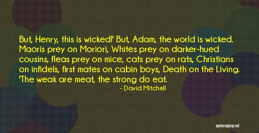 Cats And Mice Quotes By David Mitchell Cats And Mice Quotes By David Mitchell