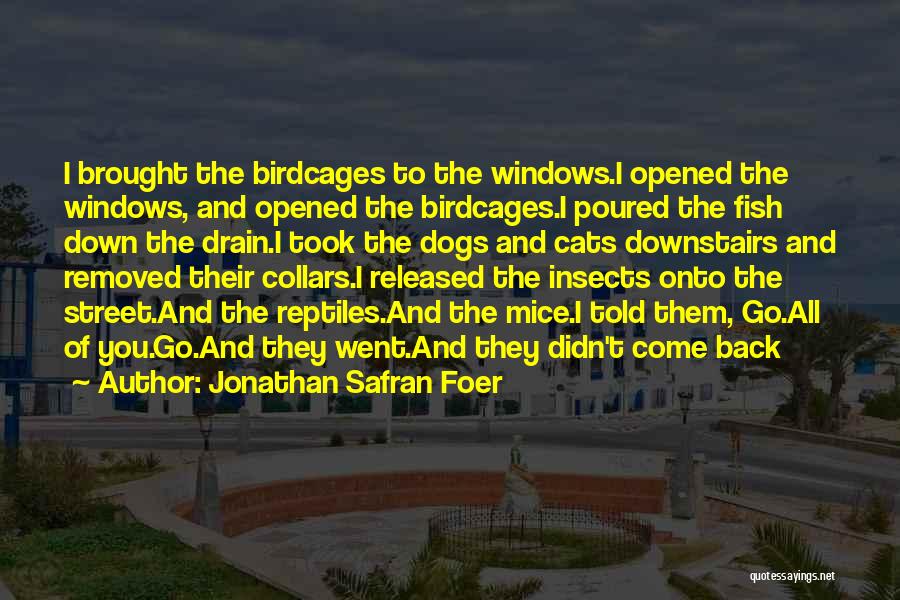 Cats And Mice Quotes By Jonathan Safran Foer
