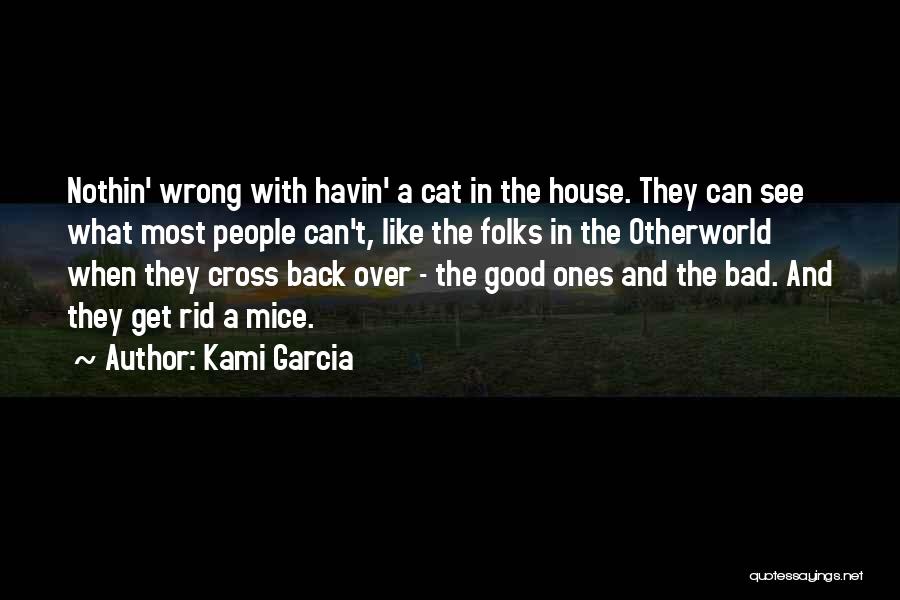 Cats And Mice Quotes By Kami Garcia