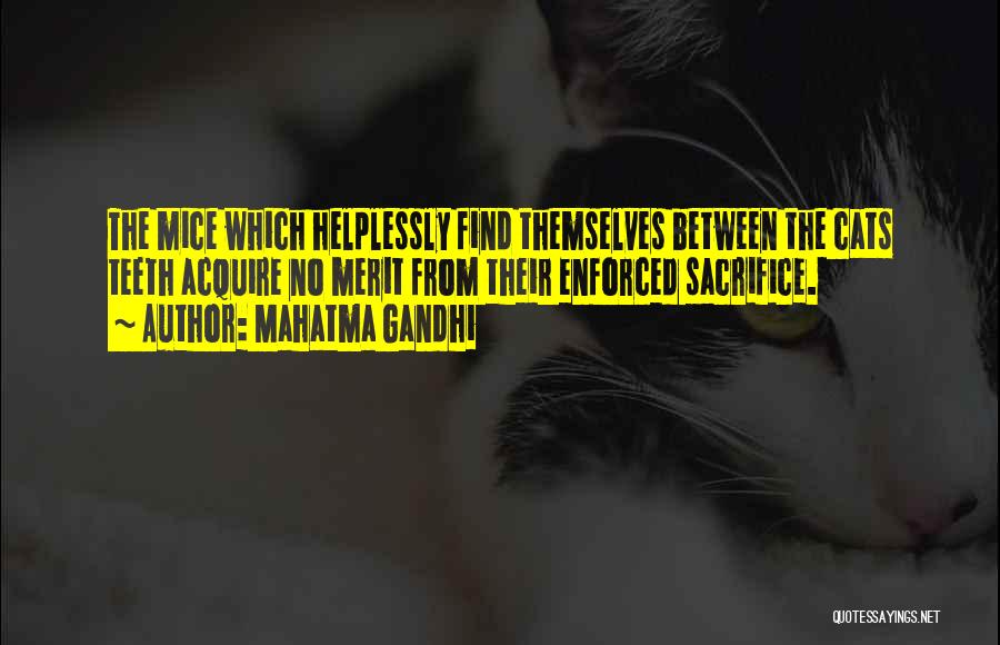 Cats And Mice Quotes By Mahatma Gandhi