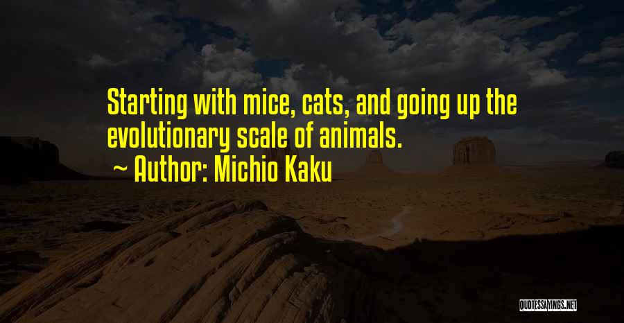 Cats And Mice Quotes By Michio Kaku