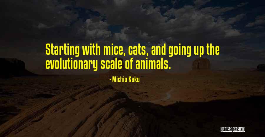 Cats And Mice Quotes By Michio Kaku