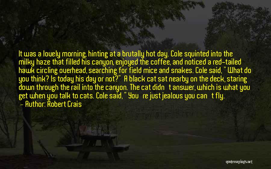 Cats And Mice Quotes By Robert Crais