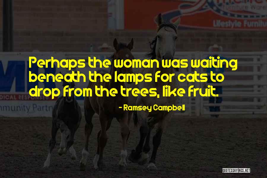 Cats And Woman Quotes By Ramsey Campbell Cats And Woman Quotes By Ramsey Campbell