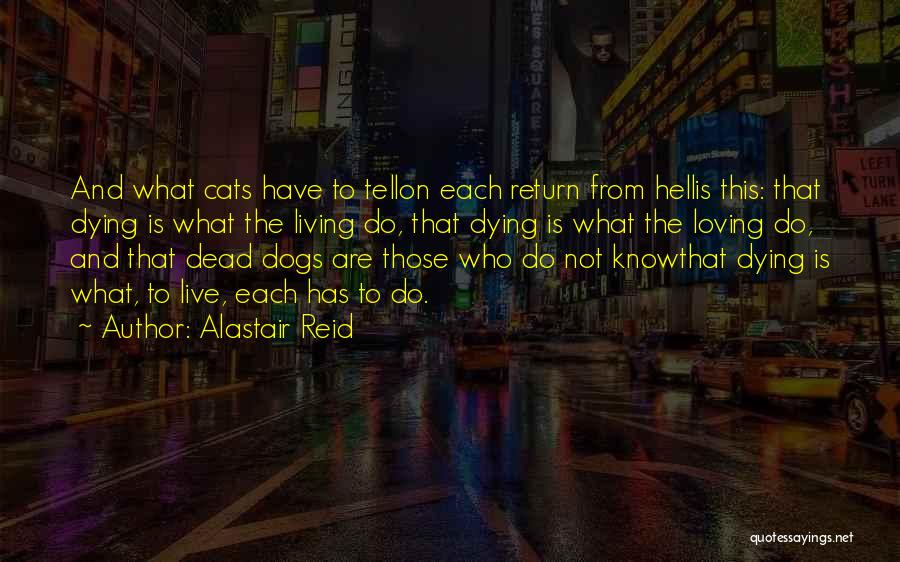 Cats Death Quotes By Alastair Reid