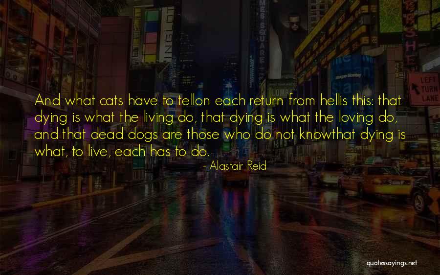 Cats Death Quotes By Alastair Reid