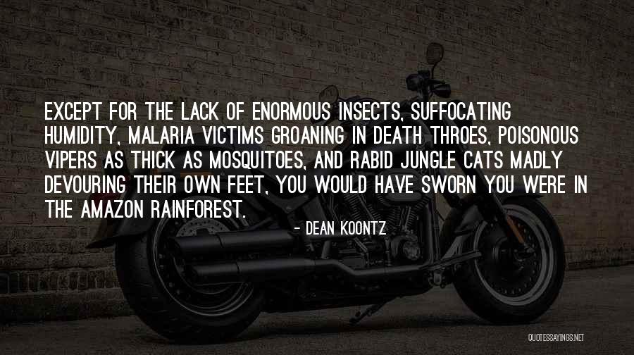 Cats Death Quotes By Dean Koontz