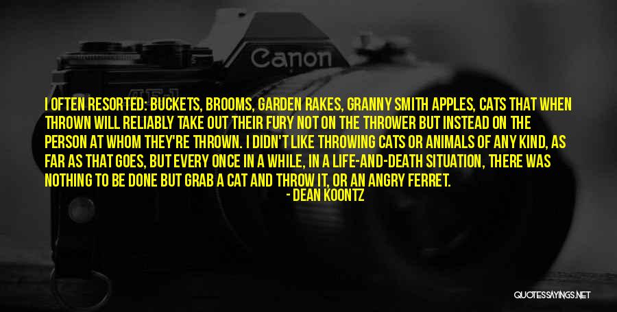 Cats Death Quotes By Dean Koontz