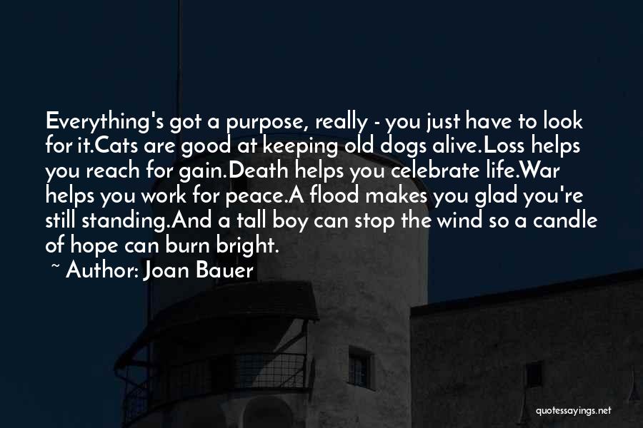 Cats Death Quotes By Joan Bauer