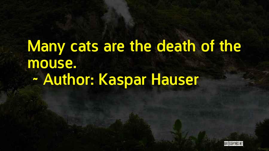 Cats Death Quotes By Kaspar Hauser