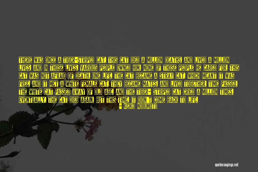 Cats Death Quotes By Keiko Nobumoto Cats Death Quotes By Keiko Nobumoto