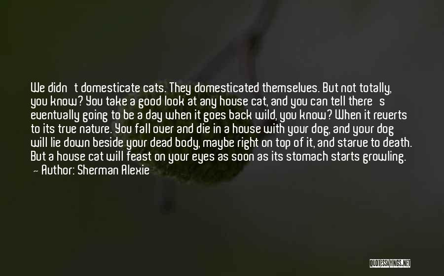 Cats Death Quotes By Sherman Alexie
