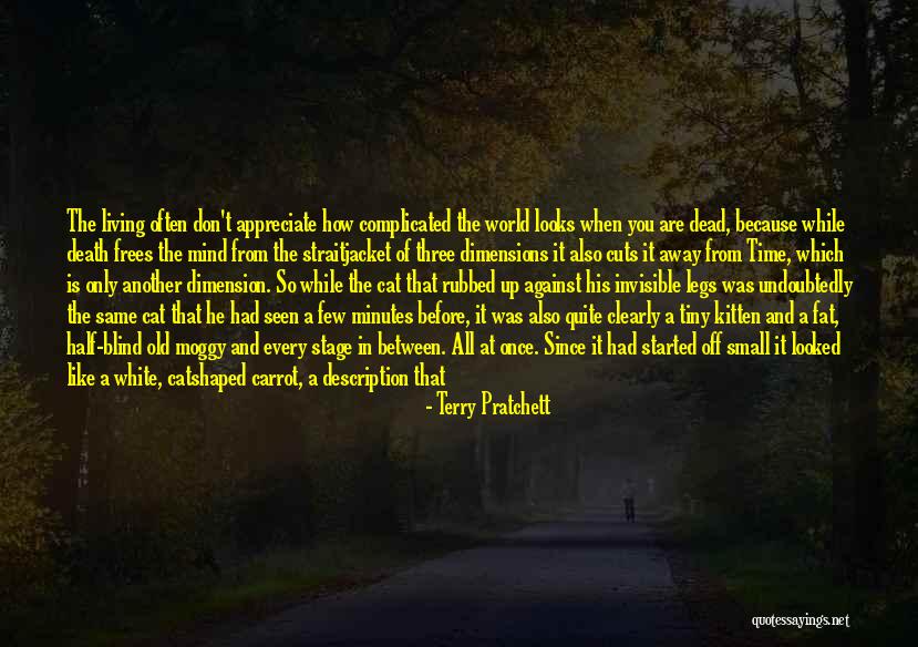 Cats Death Quotes By Terry Pratchett Cats Death Quotes By Terry Pratchett