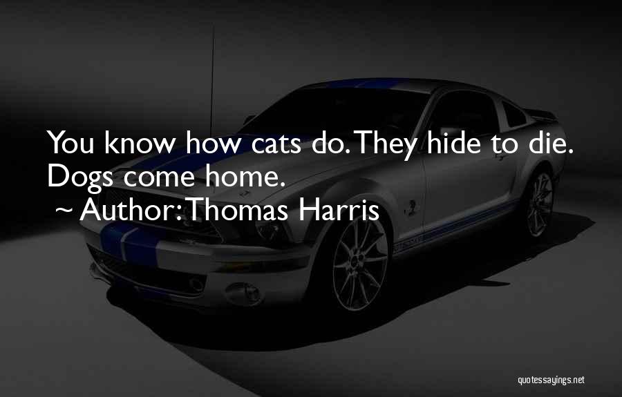 Cats Death Quotes By Thomas Harris