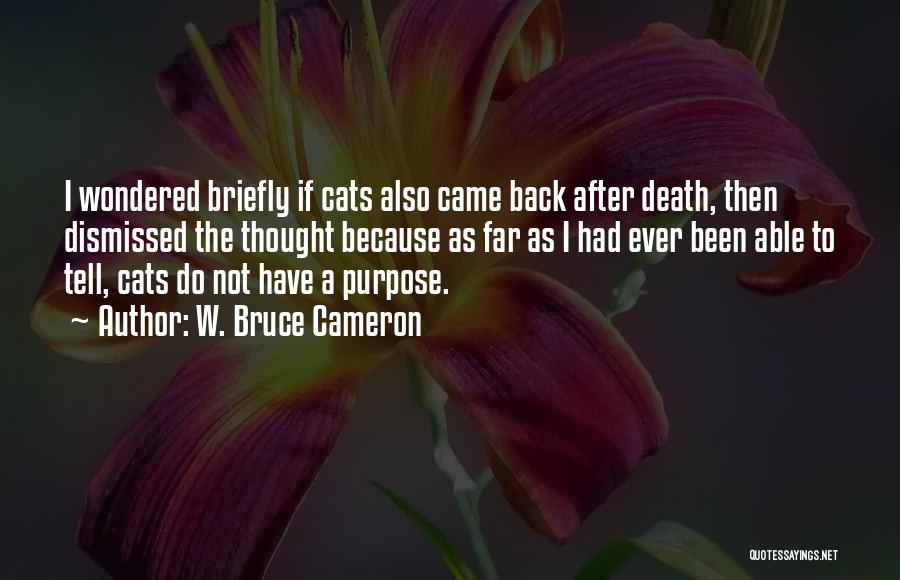 Cats Death Quotes By W. Bruce Cameron