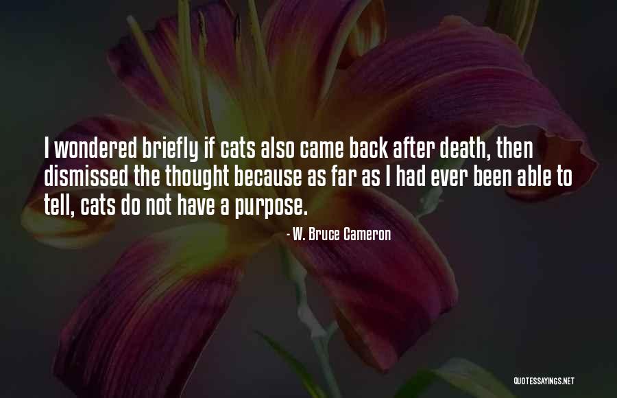 Cats Death Quotes By W. Bruce Cameron