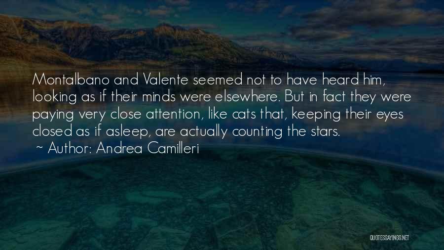 Cats Eyes Quotes By Andrea Camilleri