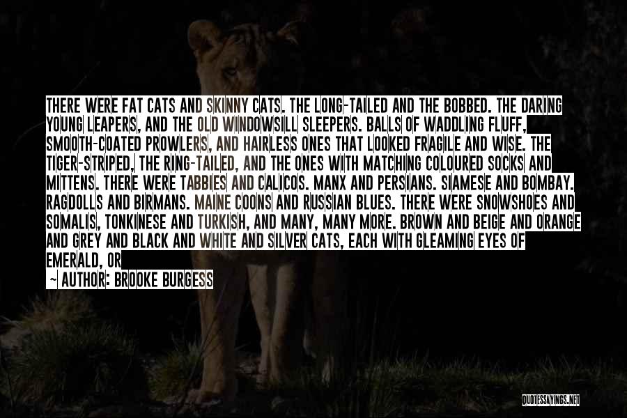 Cats Eyes Quotes By Brooke Burgess