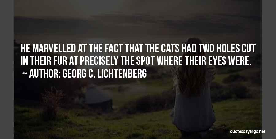 Cats Eyes Quotes By Georg C. Lichtenberg