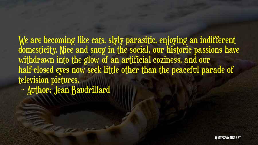 Cats Eyes Quotes By Jean Baudrillard