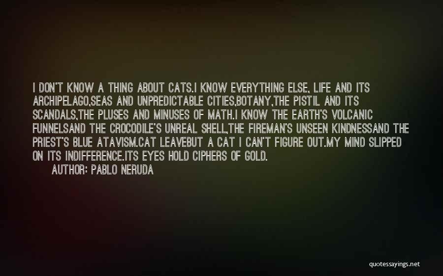 Cats Eyes Quotes By Pablo Neruda