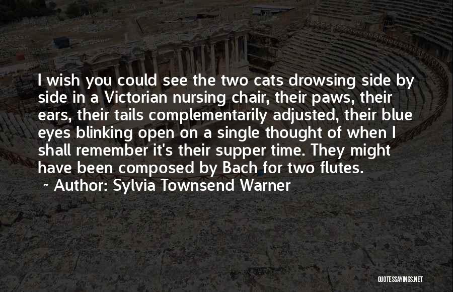 Cats Eyes Quotes By Sylvia Townsend Warner