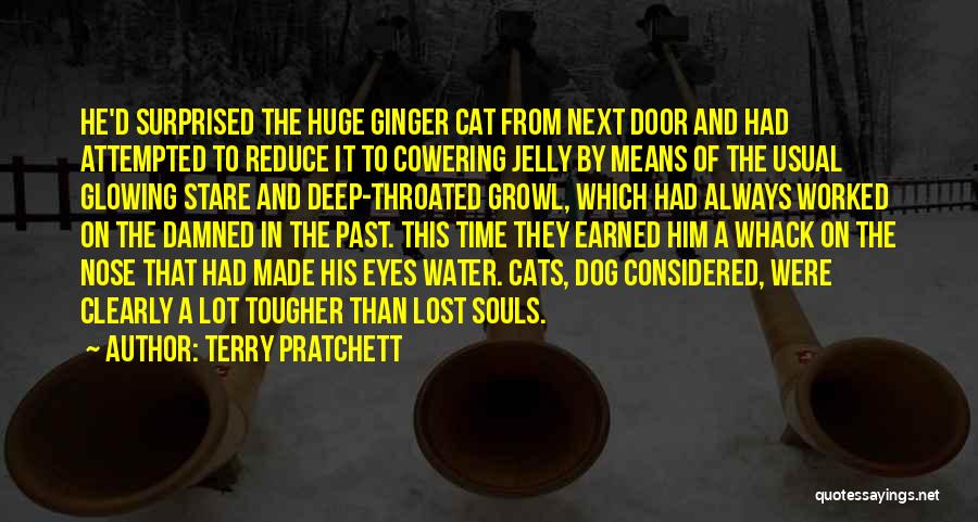 Cats Eyes Quotes By Terry Pratchett
